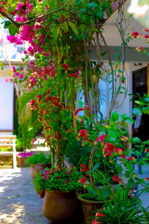 Garden Lodge Zanzibar Bagian luar foto